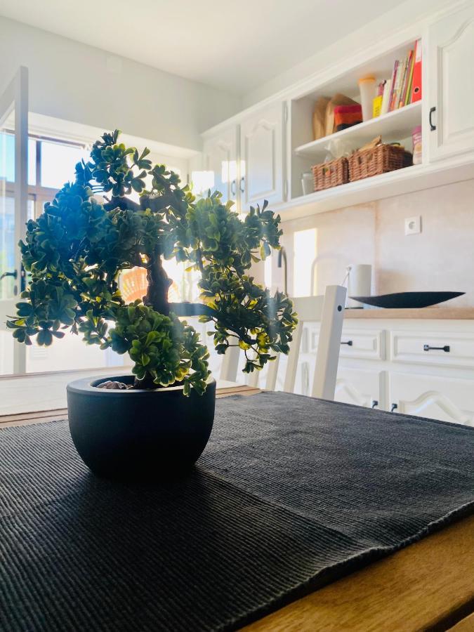 Apartmán Casa Da Tia Irene Sabrosa Exteriér fotografie
